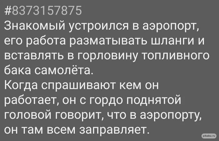8373157875 Знакомый устроился в аэропорт его работа разматывать шланги и вставлять в горловину топливного бака самолёта Когда спрашивают кем он работает он гордо поднятой головой говорит что в аэропорту ОН там всем заправляет
