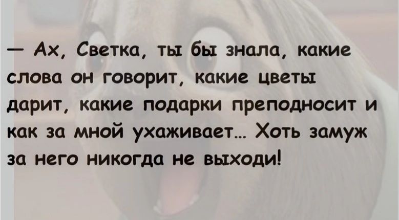Ах Светка ты бы знала какие слова он говорит какие цветы дарит какие подарки преподносит и как за мной ухаживает Хоть замуж за него никогда не выходи