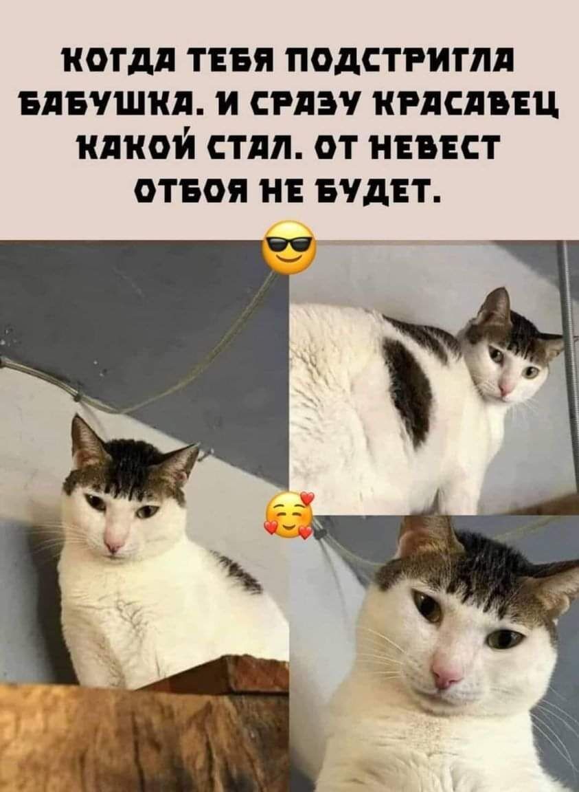 НОТДП ТЕБЯ ПОДСТРИГЛП БПБЧШКП И СРПЗ НРПСПБЕЦ КПКОЙ СТЛШ ОТ НЕВЕСТ ОТБОЯ НЕ БУДЕТ