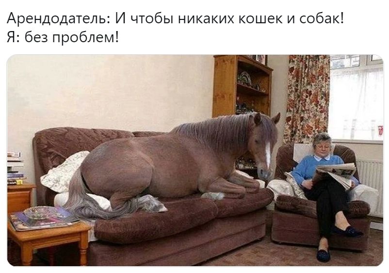 Арендодатель и чтобы никами и собак я без проблем