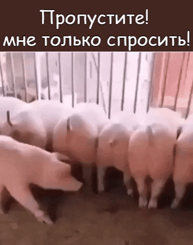 Про пустите мне только спросить