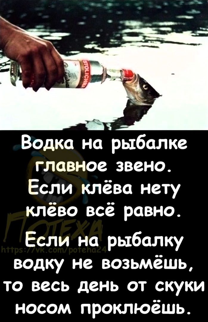 Водка на рыбалке главное звено Если клёва нету клёво всё равно Если на рыбалку водку не возьмёшь то весь день от скуки носом проклюёшь