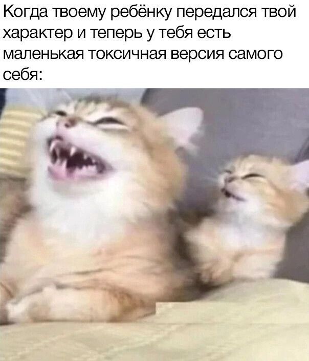 Когда твоему ребёнку передался твой характер и теперь у тебя есть маленькая токсичная версия самого