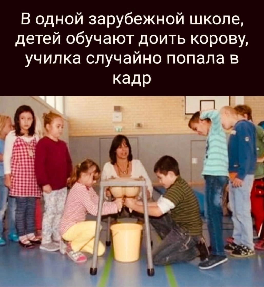 В одной зарубежной школе детей обучают доить корову училка случайно попала в кадр