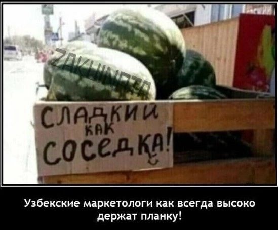 Узбекские маркетплоги всегда выспко держит ппзику