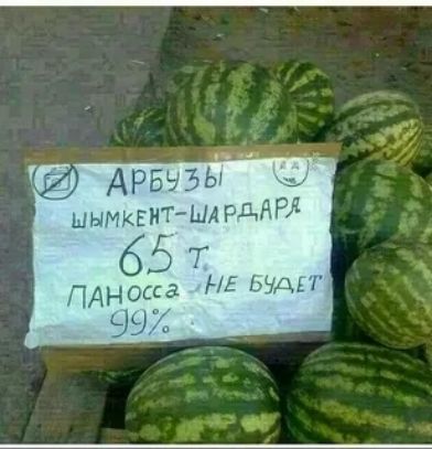 АРБвъь ШЫМКЕиТЫА РДАРЯ _ 65 т АНОССЗ НЕ Ьэдьі 9931 и и
