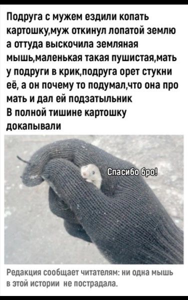_ Подруга с мужем ездили копать картошкумуж откинул лопатой землю а оттуда выскочила земляная мышьмапеиькая такая пушистаямать у подруги в крицподруга орет стукни её а он почему то подуиапчто оиа про мать и дал ей подзатьшьиии В полной тишине картошку докапывапи Редакция сообщат чщатепяи ни одна мышь в этой истории не пострадала