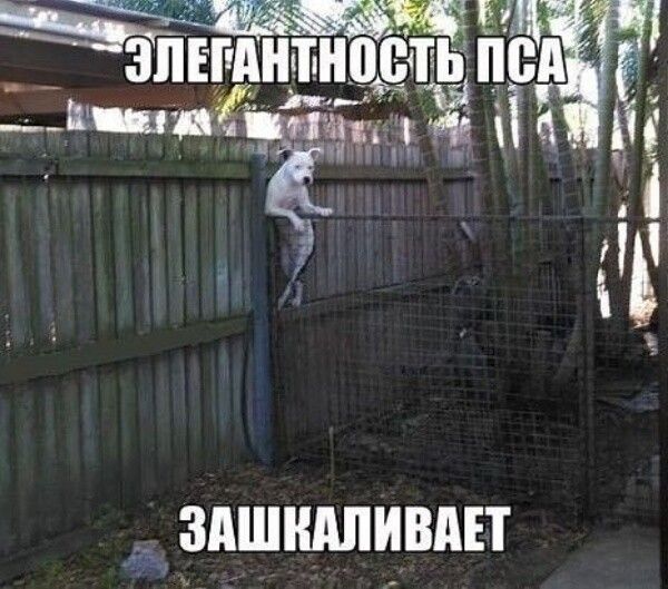ЗПЕГАНТНВВТЬ пё Ё __ ЗАШШИВАЕТ