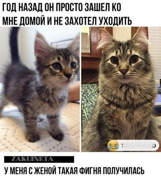 ГОд НАЗАД ОН ПРОСТО ЗАШЕЛ КО МНЕ ЛОМОЙ И НЕ ЗАХОТЕП УХОЛИТЬ и У МЕНЯ О ЖЕНОЙ ТАКАЯ ФИГНП ПОЛУЧИПАОЬ