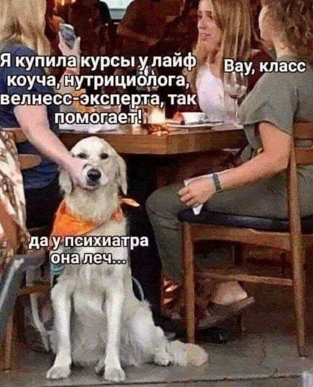 я купила курсы лайф коуча нутрициологаіі вепнесе экёперта так