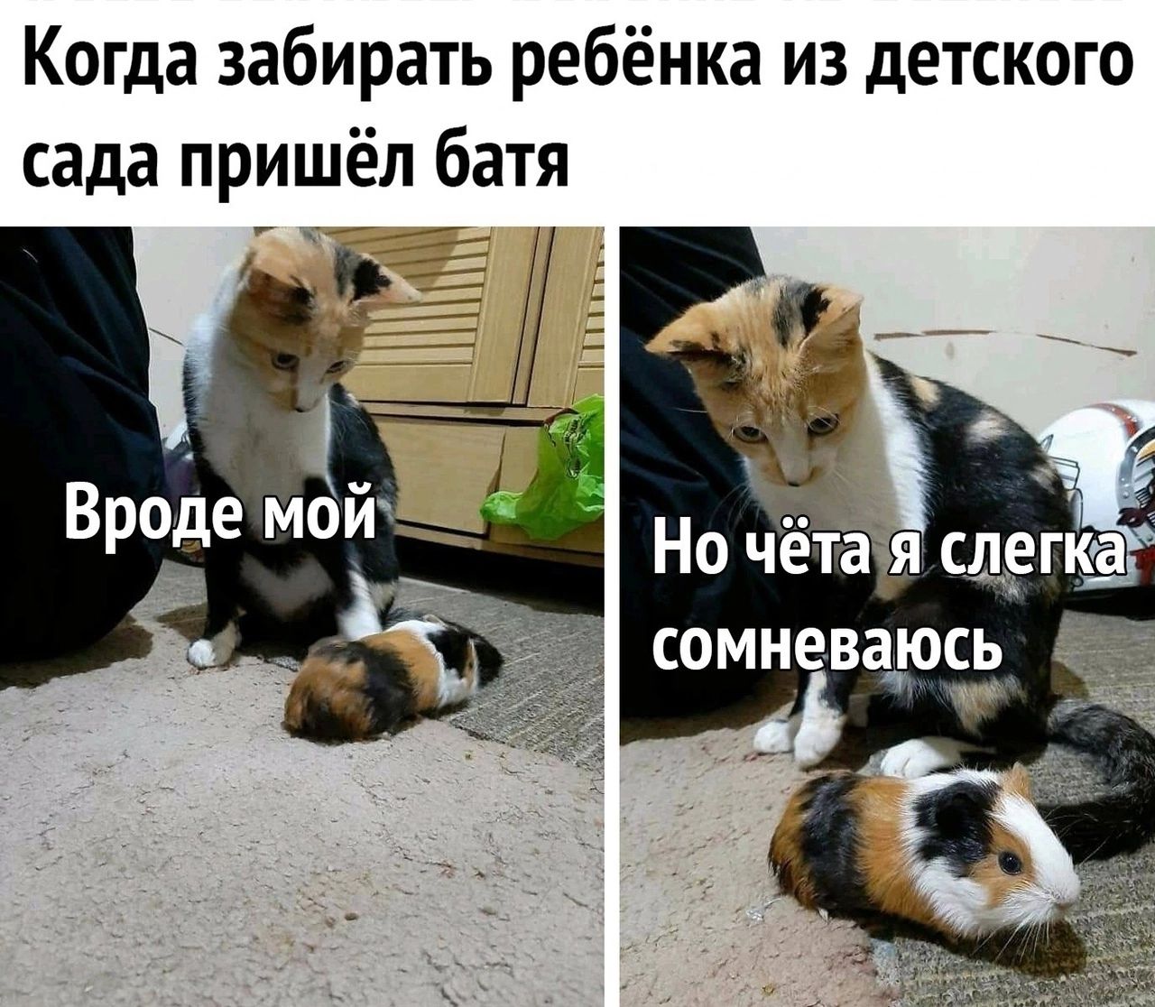 Когда забирать ребёнка из детского сада пришёл батя