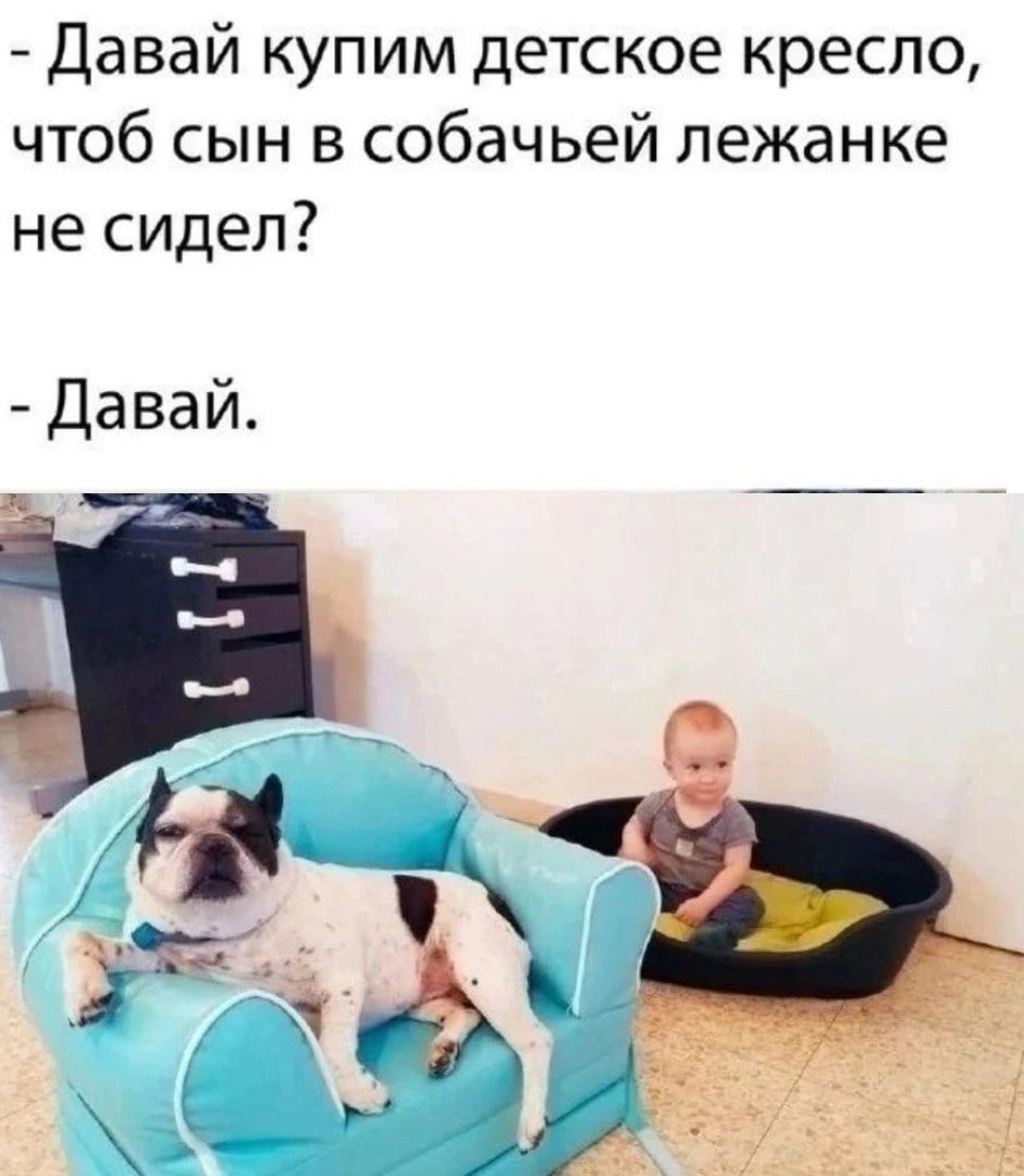 Давай купим детское кресло чтоб сын в собачьей лежанке не сидел Давай