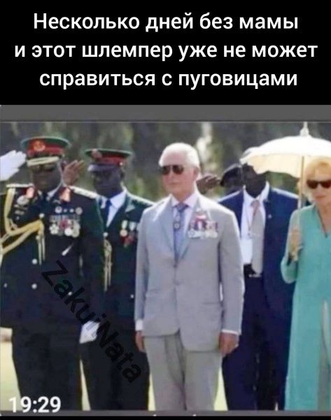 Несколько дней без мамы и этот шлемпер уже не может справиться с пуговицами