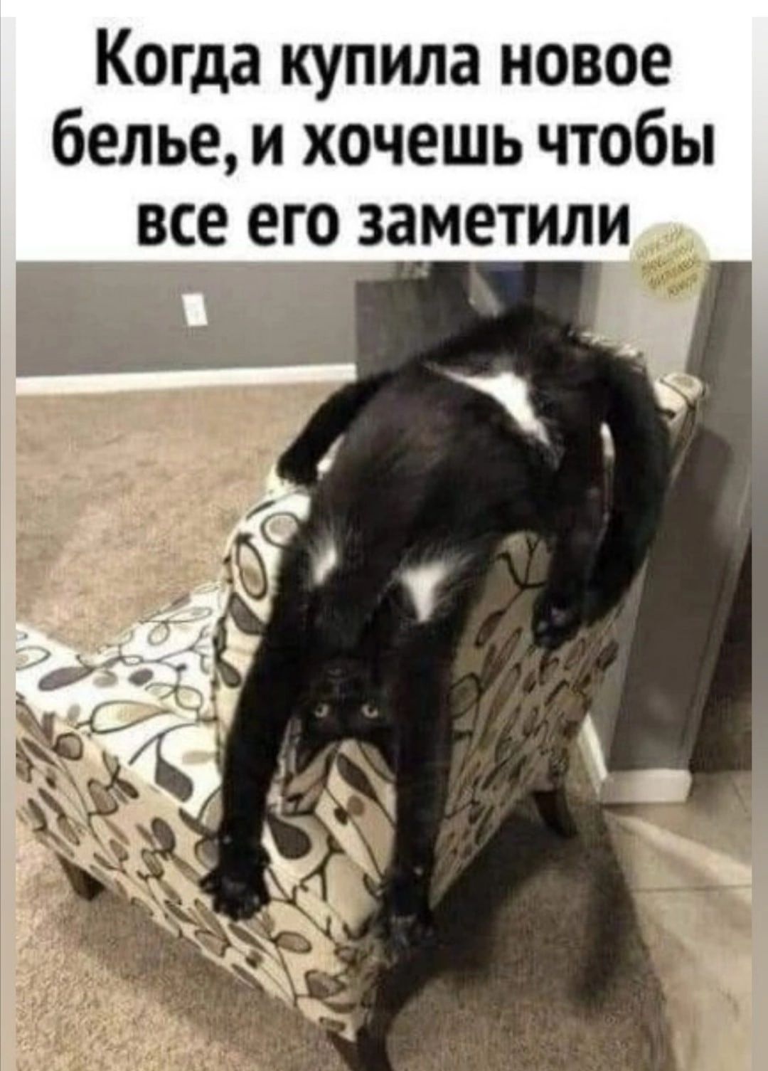 Когда купила новое белье и хочешь чтобы все его заметили