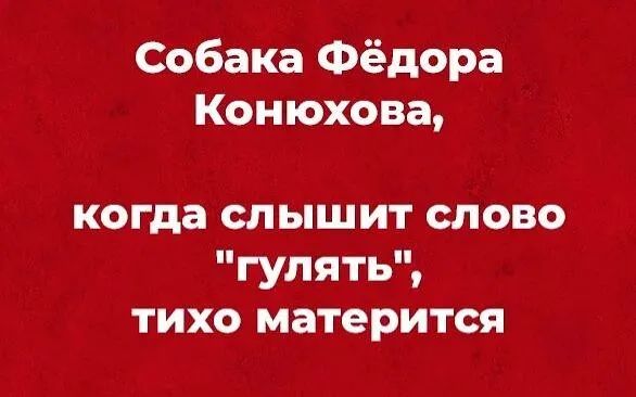 Собака Фёдора Конюхова когда слышит слово гулять тихо матерится