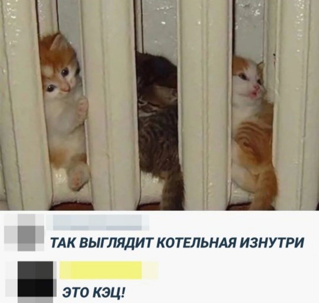 ТАК ВЫГЛЯДИТ КОТЕЛЬНАЯ ИЗНУ ТРИ ЭТО КЭЦ