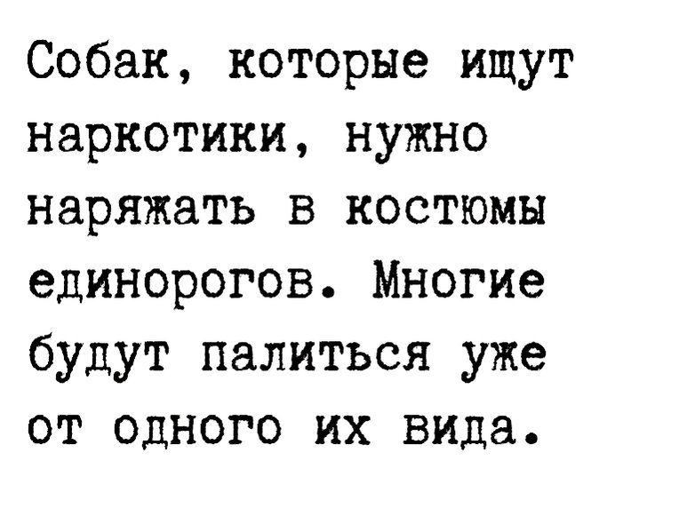 Собак которые ищут наркотики нужно наряжать в костюмы единорогов Многие ОУДут палиться уже от одного их вица