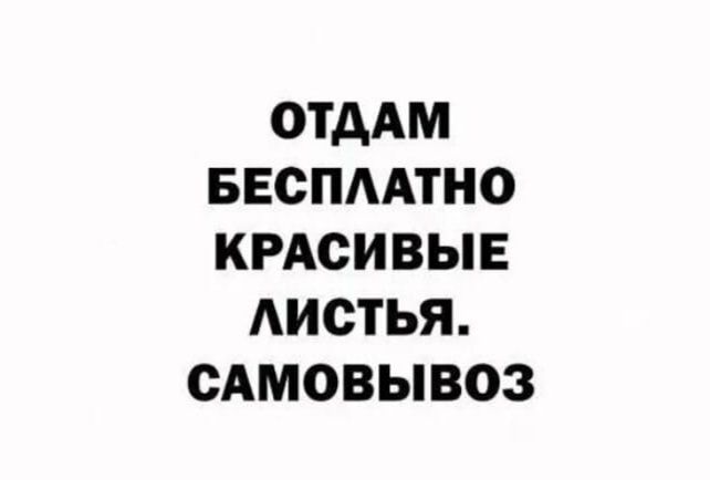 ОТДАМ БЕСПААТНО КРАСИ ВЫЕ АИОТЬЯ САМОВЫВОЗ