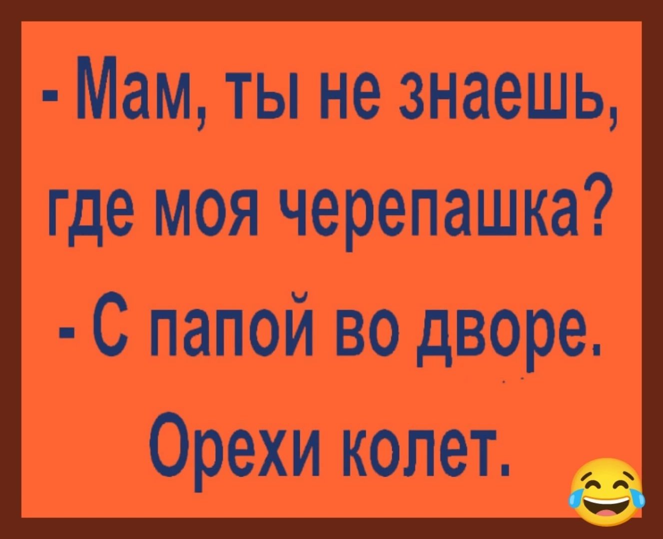 З не знаешь где моя черепашка Орехи колет