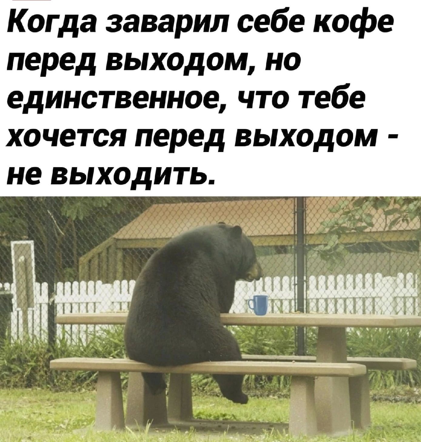 Когда заварил себе кофе перед выходом но единственное что тебе хочется перед выходом не выходить ц