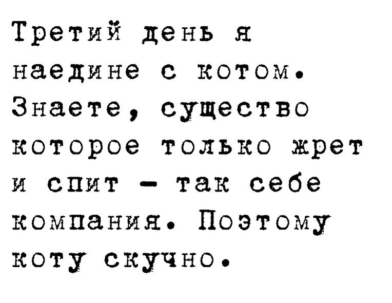 Третий день я наедине с котом Знаете существо которое только жрет и спит так себе компания Поэтому коту скучно