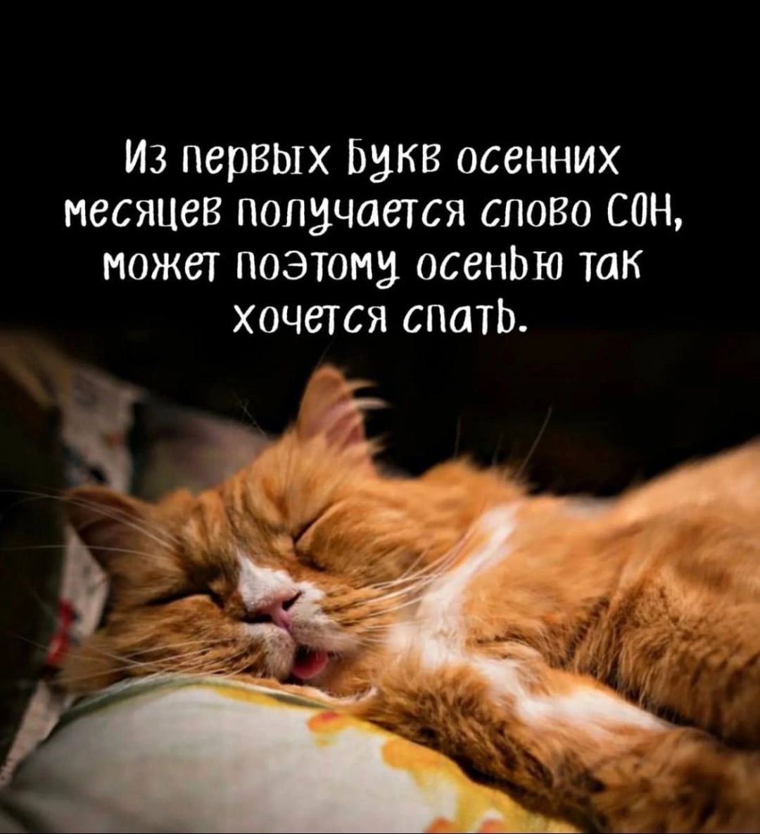 Из перВЫХ Ьвкв осенних месяцев полцчается алого сон может поэтом осенЬю так Хочется спать