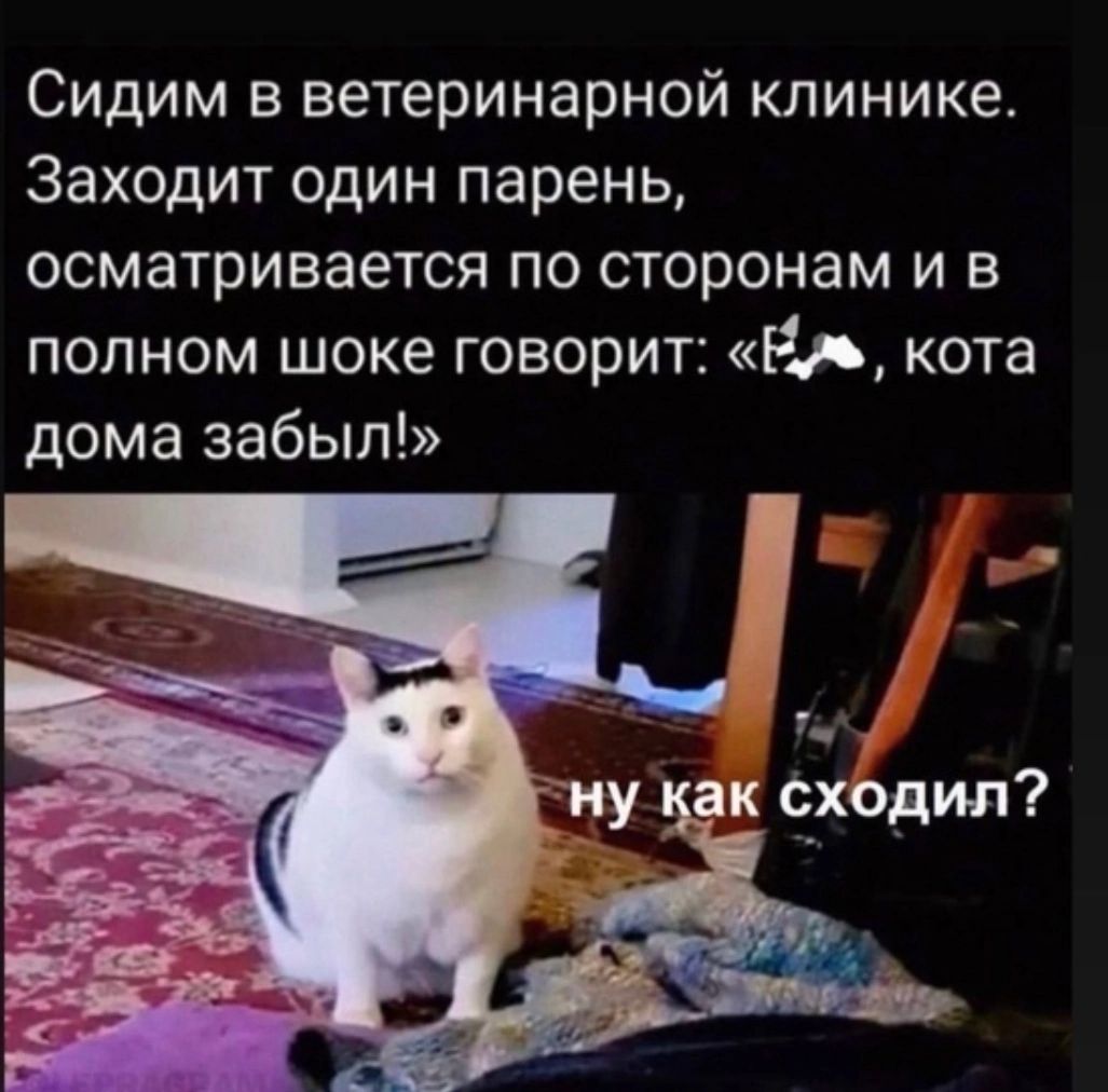 Сидим в ветеринарной клинике Заходит один парень осматривается по сторонам и в полном шоке говорит Рь кота дома забыл _ у охбдип