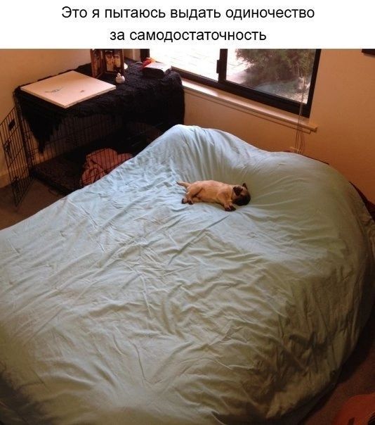 Это я пытаюсь выдать одиночество за самодостаточность