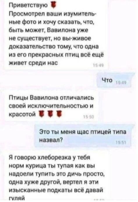 Принты ую Просмотрел пши изумттт ные Фото и хочу сиять чт быть ножи Впиши уик ие сушат уст по вся живое док ишшо тому что оди из его прижим тиц но ещё жит среди инс Чтв Птицы Впилш отличились своей исключипльиостью и квт сотой томатным аш тим мнил Я говорю клещам у пб корм куриц тн тупи как вы подсели тупить по дичь просто один хужс другой пипл т ижпииые под падший гуляй