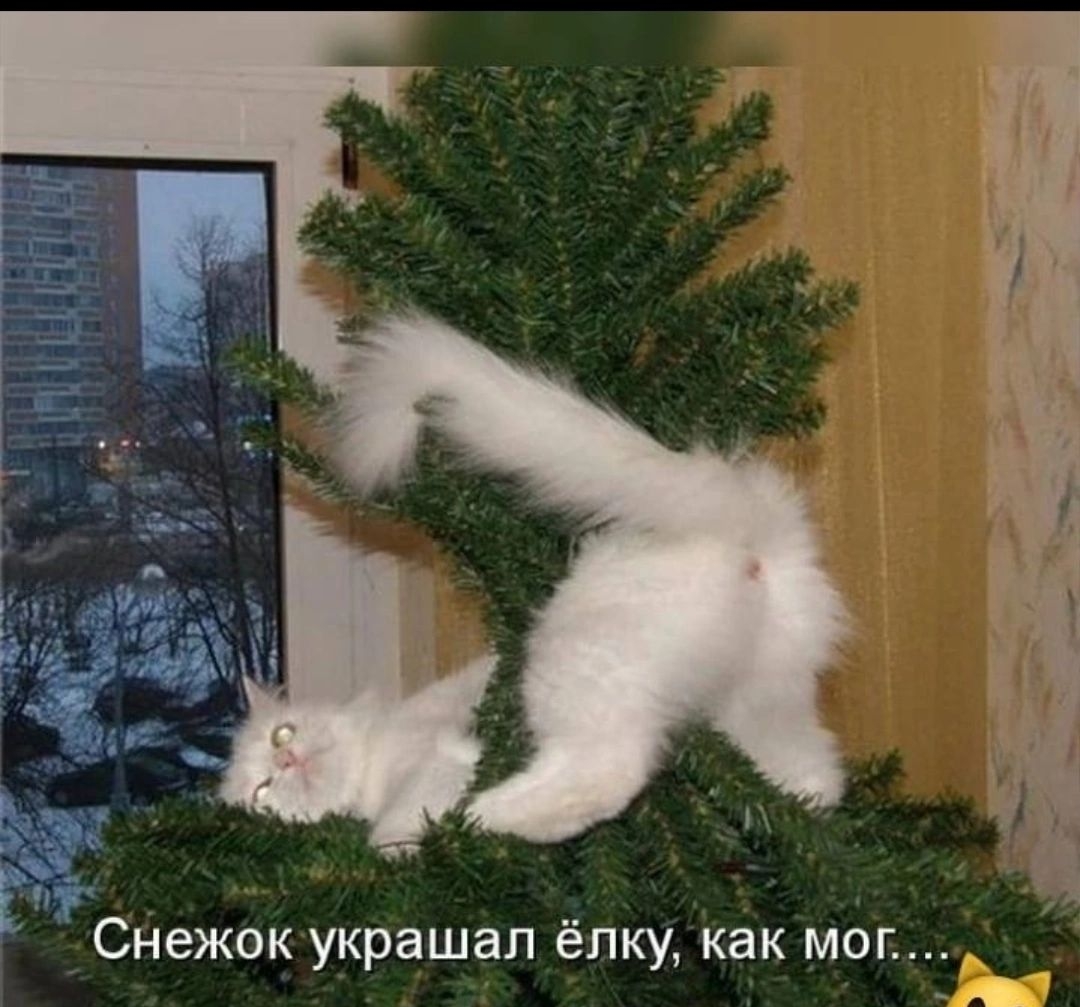 Снежок украшал ёлку как мог