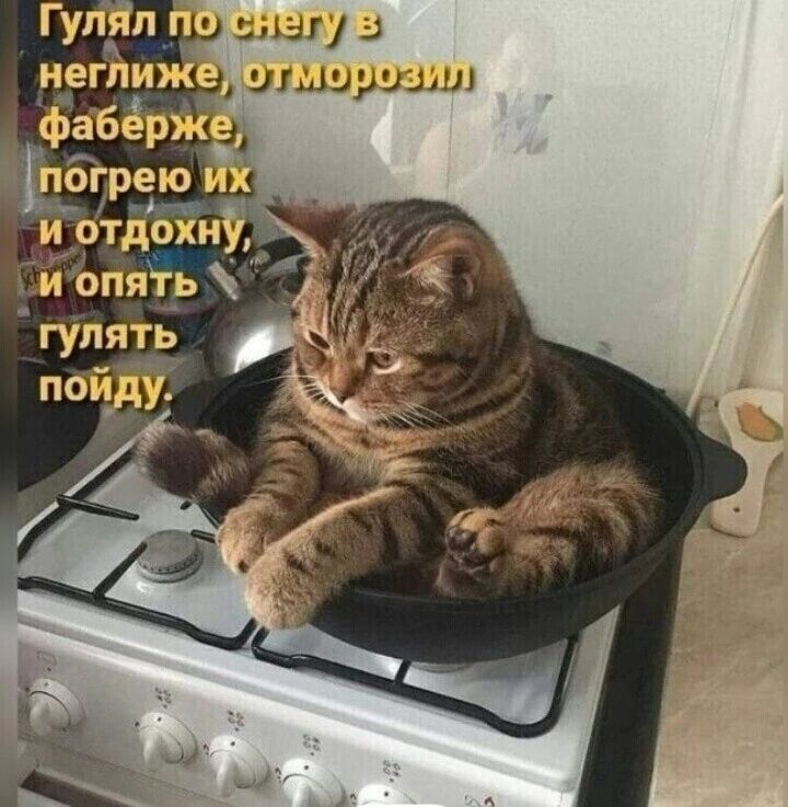 дниз 1 иьшриьш пбі рею и отдохи и Ьгіять