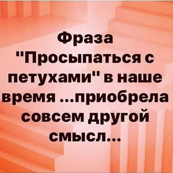 Фраза Просыпаться с петухами в наше время приобрела совсем другой СМЬОЛ Ь _ _