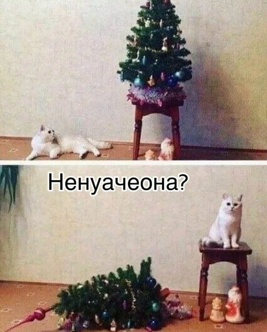 2 гг Ненуачеона