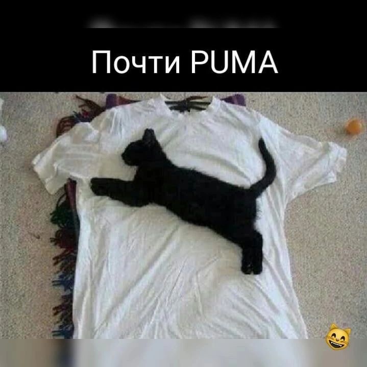 Почти РЦМА