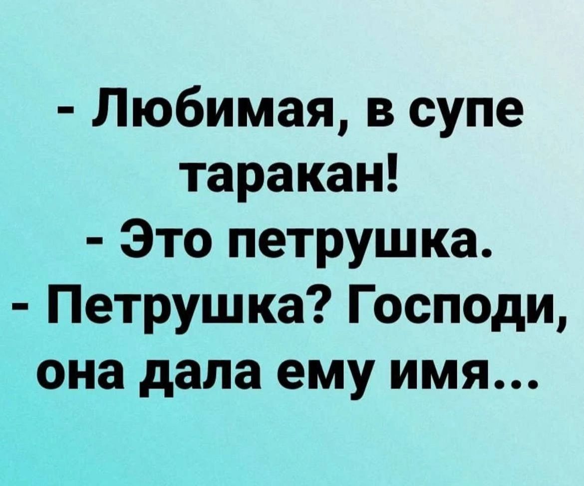 Любимая в супе таракан Это петрушка Петрушка Господи она дала ему имя