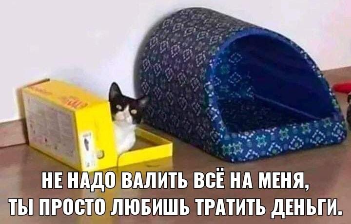 НЕ надо ВАЛИТЪ ВСЁ НА МЕНЯ ТЫ ПРПСТП ЛЮБИШЬ ТРМИП дЕНЪГИ