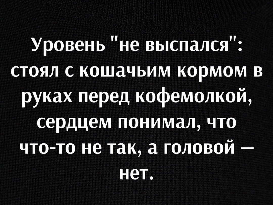 Уровень не выспался стоял с кошачьим кормом в руках перед кофемолкой сердцем понимал что чтото не так а головой не1