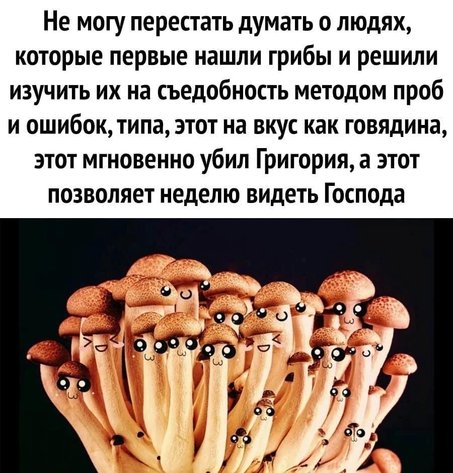 Не могу перестать думать о людях которые первые нашли грибы и решили изучить их на съедобность методом проб и ошибоктипа этот на вкус как говядина этот мгновенно убил Григорияа этот позволяет неделю видеть Господа