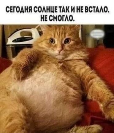 СЕГОДНЯ СОМШЕ ТАК И НЕ ВСТМО НЕ СМОГАО