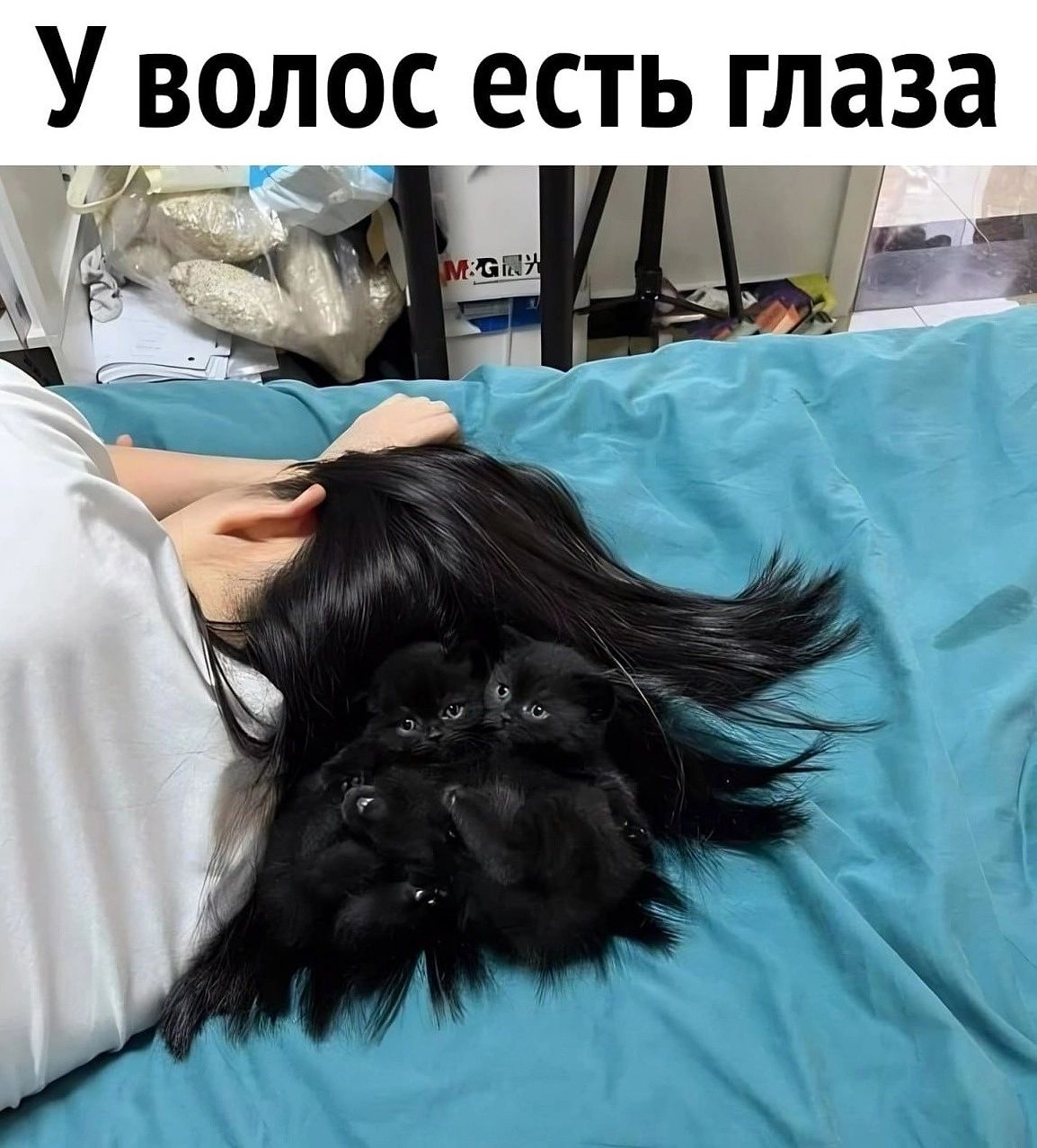 У волос есть глаза