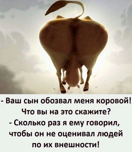 Ваш сын обозвал меня коровой Что вы на это скажите Сколько раз я ему говорил чтобы он не оценивал людей по их внешности
