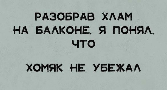РАЗОБРАВ ХААМ НА БААКОНЕ Я ПОНЯА ЧТО ХОМЯК НЕ УБЕЖАА