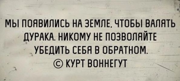 Валять дурака. Что значит валять дурака. Высказывания о людях которые любят валять дурака. Валяют дурака в интернете.