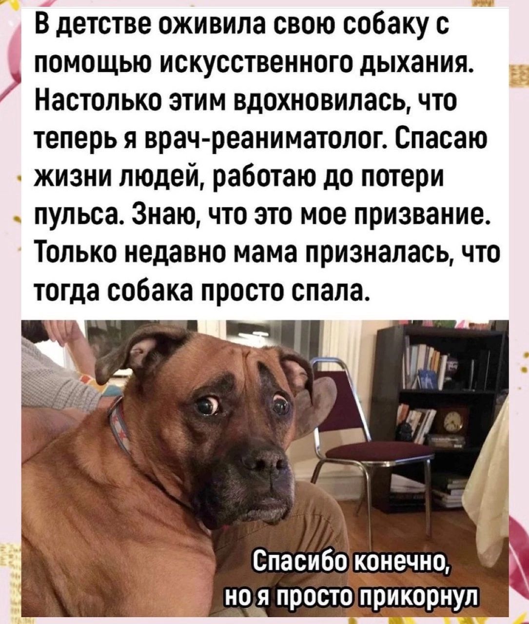 В детстве оживипа свою собаку с помощью искусственного дыхания Настолько ЭТИМ ВДОХИПВИПЗСЬ ЧТО теперь я врачреаниматолог Спасаю жизни людей работаю до потери _ пульса Знаю что это мое призвание Только недавно мама призналась что тогда собака просто спала Спасибо конечно но я просто прикорнуп