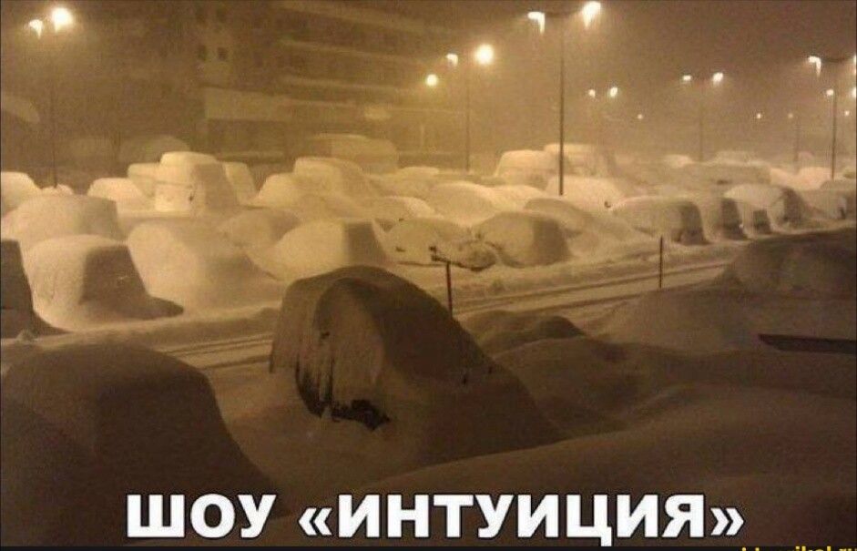 шоу интуиция _ _