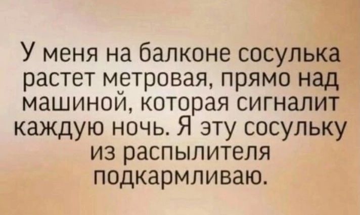 У меня на балконе сосульк растет метровая прямо над машиной которая сигналит каждую ночь Я эту сосульку из распылителя подкармливаю