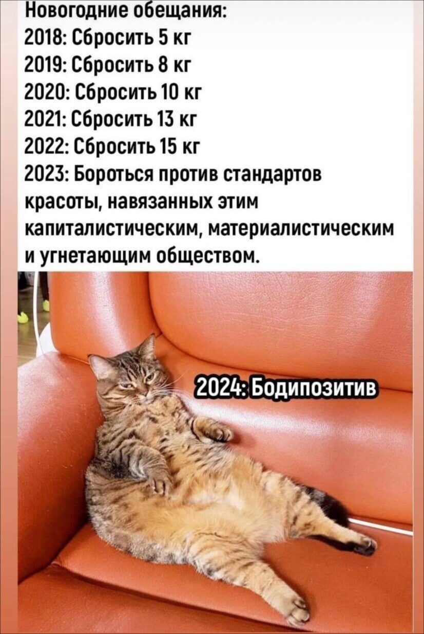 Новогодние обещания 2010 сбросить 5 кг 2015 Сбросить 0 кг 2020 Сбросить 10 кг 2021 Сбросить 13 кг 2022 Сбросить 15 кг 2023 Бороться против стандартов красоты навязанных этим капиталистическим материалистическим и угнетающии обществом