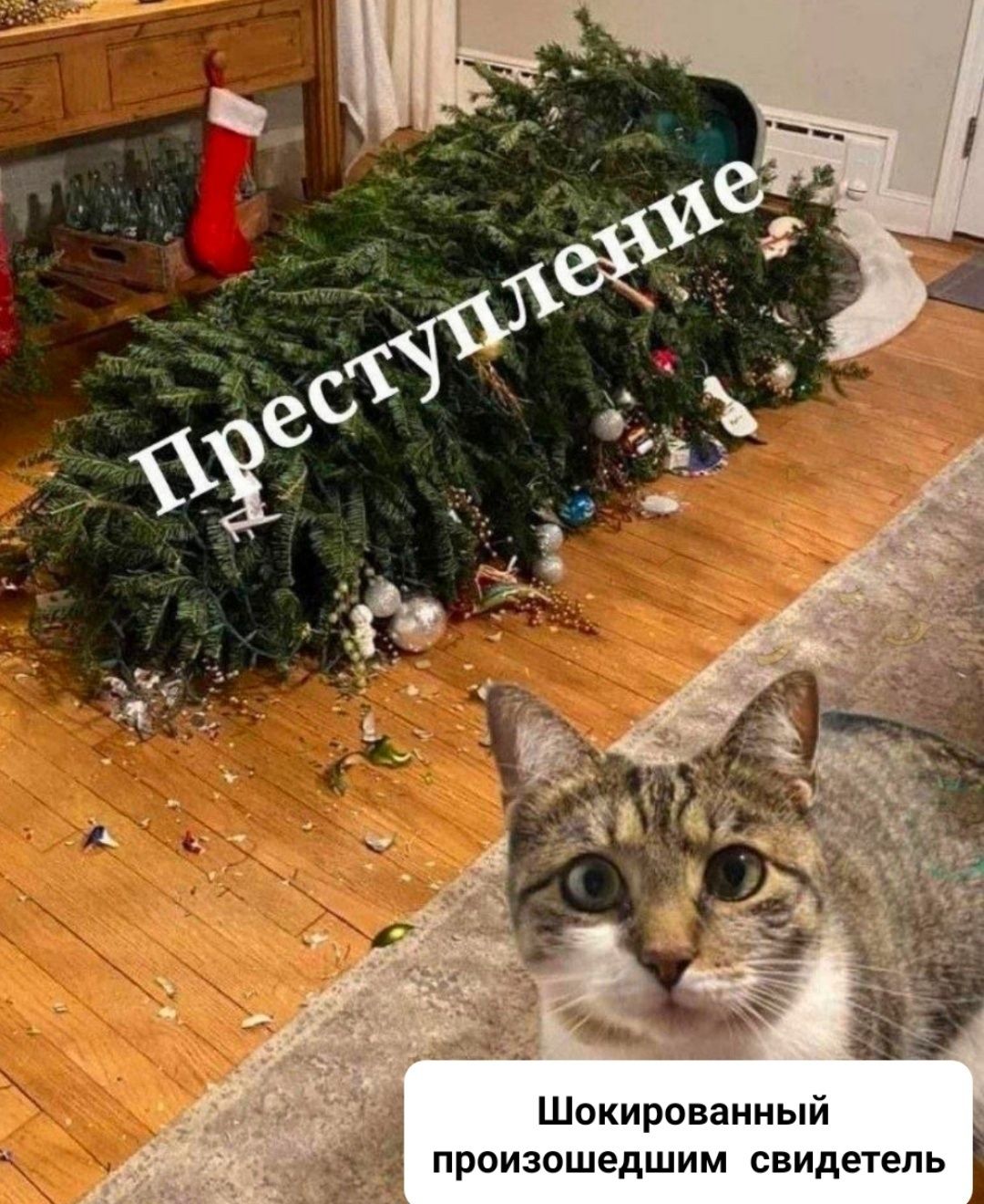 Шакированный произошедшим свидетель