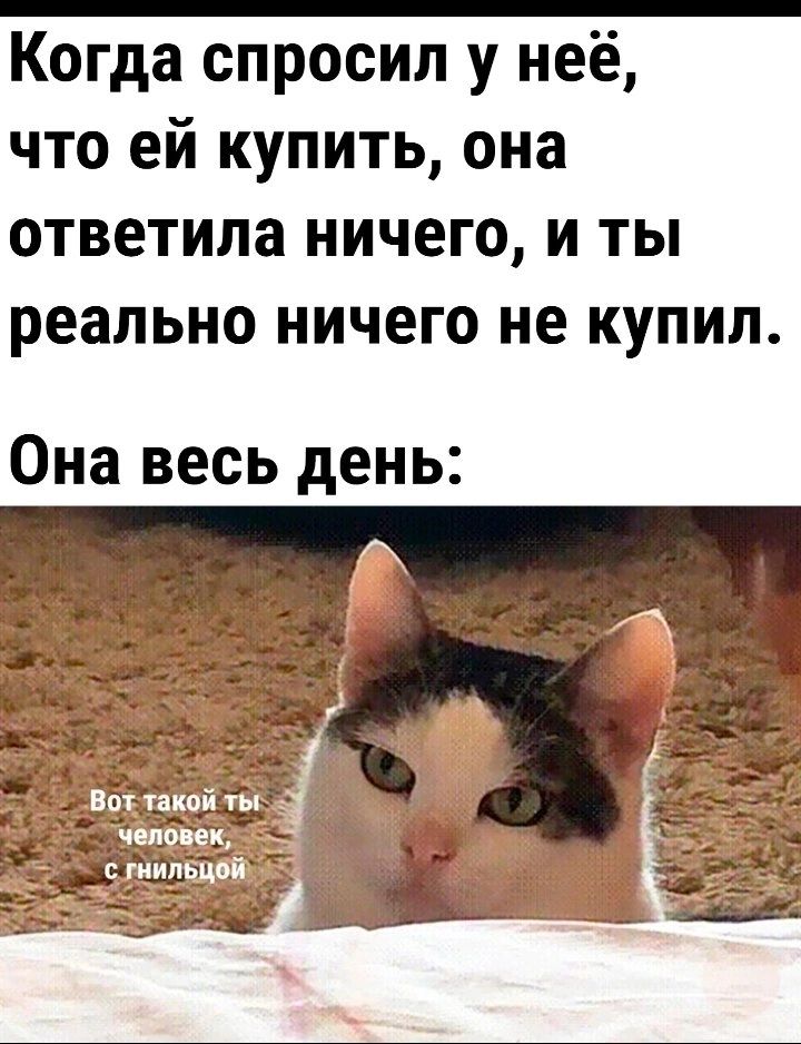 Когда спросил у неё что ей купить она ответила ничего и ты реально ничего не купил Она весь день