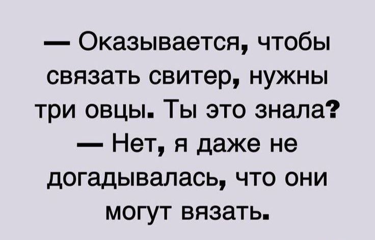 Оказывается чтобы связать свитер нужны три овцы Ты это знала Нет я даже не догадывалась что они могут вязать